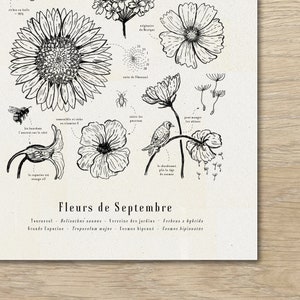May include: Black and white line art illustration of various flowers, including a sunflower, a cosmos flower, and a verbena flower. The illustration is labeled "Fleurs de Septembre" and lists the botanical names for each flower.
