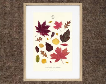 Peut inclure: Une impression encadrée de feuilles d'automne pressées dans différentes nuances de rouge, jaune et brun. L'impression est intitulée "Folium" et comporte le texte "double point - acer palmatum".