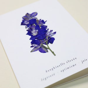 Dauphinelle fleur rose delphinium carte avec fleur séchée carte de voeux carte d'anniversaire carte cadeau carte florale carte herbier offrir occasion folium maison botanique carte naissance félicitations