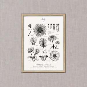 Cartaz "Flores de Novembro" · Ilustração A3 de flores sazonais · Gravura botânica, desenho de flores, presente de bebê, aniversário imagem 3