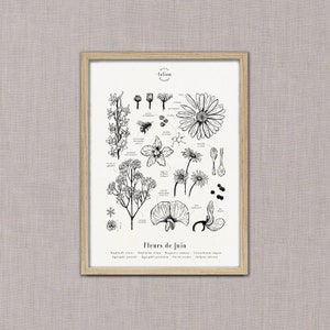 Cartel "Las flores de junio" · A3 ilustración de flores de temporada · Grabado botánico, Decoración floral, Dibujo en blanco y negro, Regalo junio imagen 3