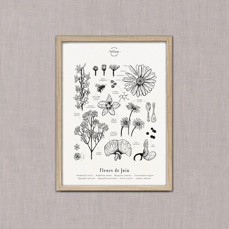 Cartel "Las flores de junio" · A3 ilustración de flores de temporada · Grabado botánico, Decoración floral, Dibujo en blanco y negro, Regalo junio imagen 3