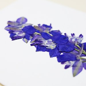 Dauphinelle fleur rose delphinium carte avec fleur séchée carte de voeux carte d'anniversaire carte cadeau carte florale carte herbier offrir occasion folium maison botanique carte naissance félicitations