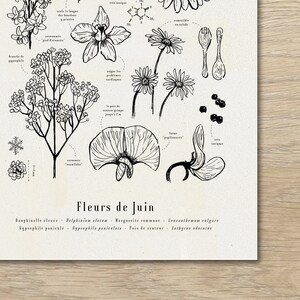 Cartel "Las flores de junio" · A3 ilustración de flores de temporada · Grabado botánico, Decoración floral, Dibujo en blanco y negro, Regalo junio imagen 2