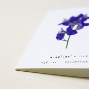 Dauphinelle fleur rose delphinium carte avec fleur séchée carte de voeux carte d'anniversaire carte cadeau carte florale carte herbier offrir occasion folium maison botanique carte naissance félicitations
