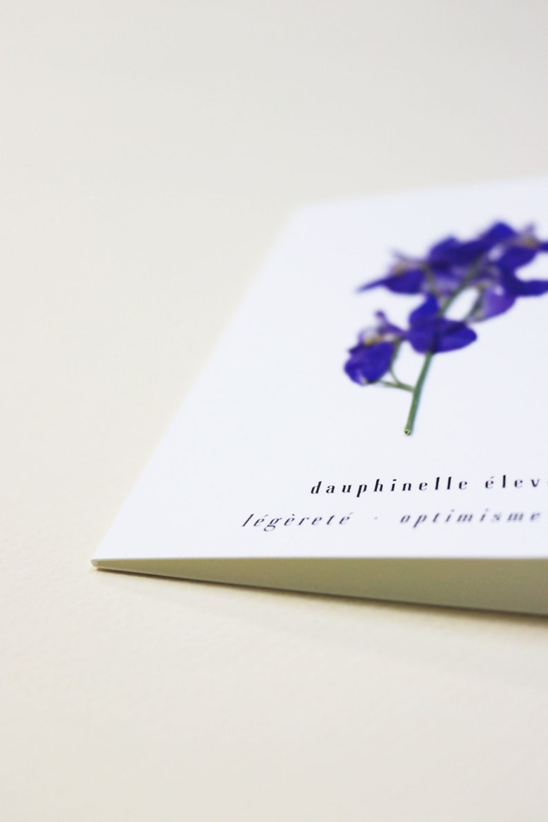 Dauphinelle fleur rose delphinium carte avec fleur séchée carte de voeux carte d'anniversaire carte cadeau carte florale carte herbier offrir occasion folium maison botanique carte naissance félicitations