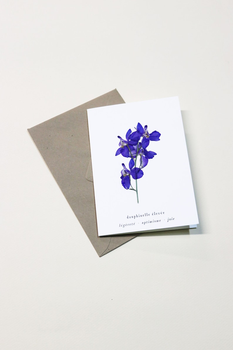 Dauphinelle fleur rose delphinium carte avec fleur séchée carte de voeux carte d'anniversaire carte cadeau carte florale carte herbier offrir occasion folium maison botanique carte naissance félicitations