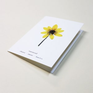 Carte avec fleurs séchéee, carte anniversaire, carte relief, carte vraie fleur, fleur pressée, carte de voeux, pressed flower art, folium, herbarium, herbier