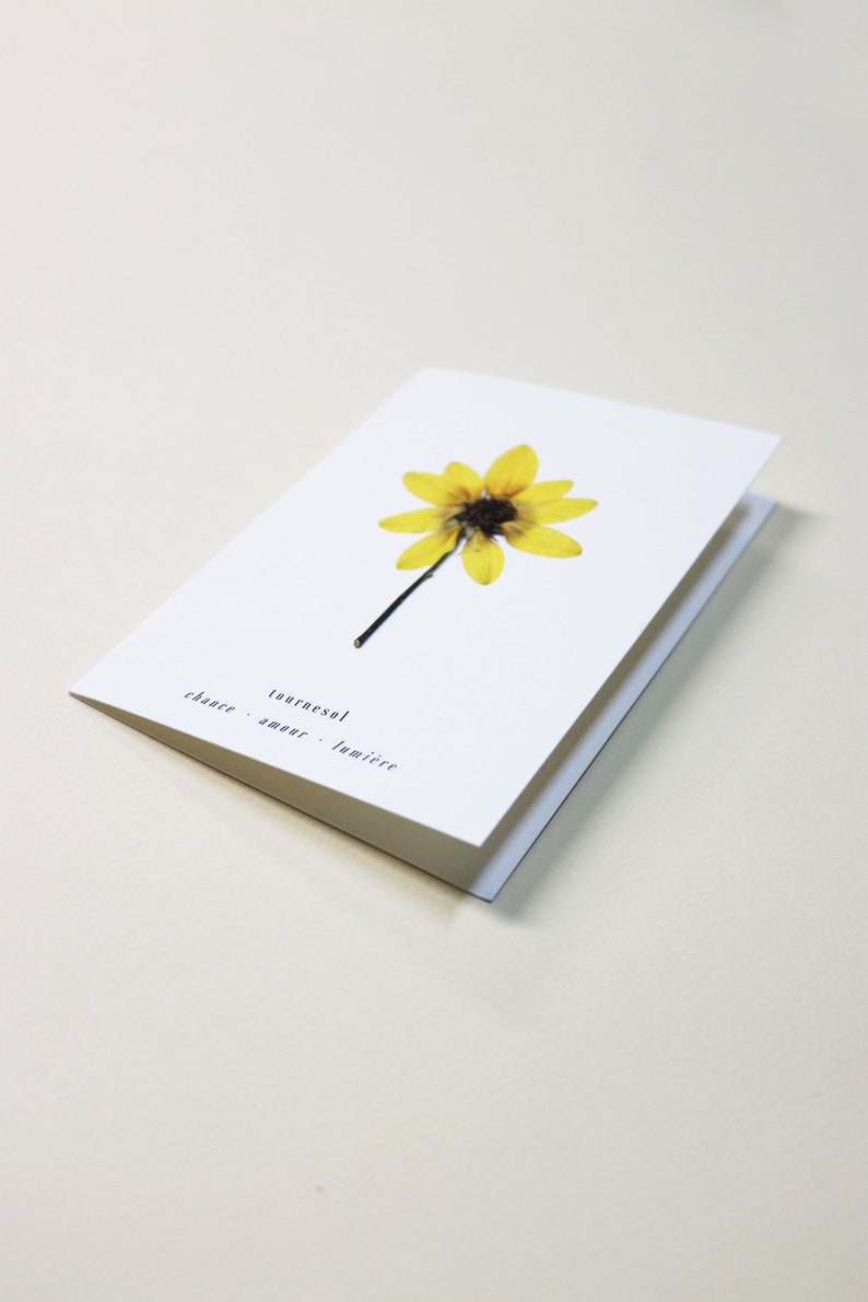 Carte avec fleurs séchéee, carte anniversaire, carte relief, carte vraie fleur, fleur pressée, carte de voeux, pressed flower art, folium, herbarium, herbier