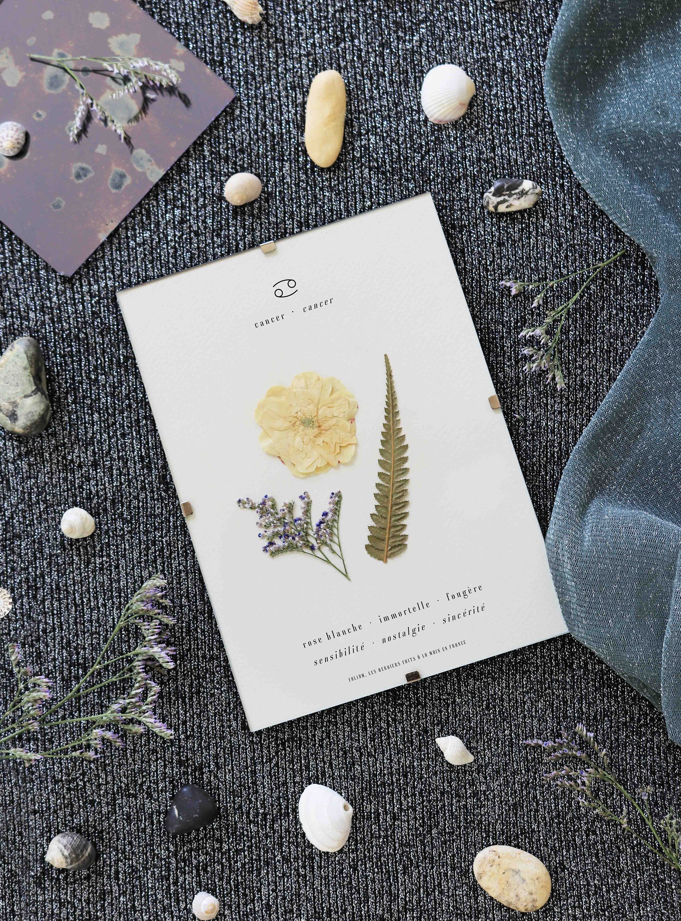 Herbier Astrologique Cancer Fleurs Naturelles