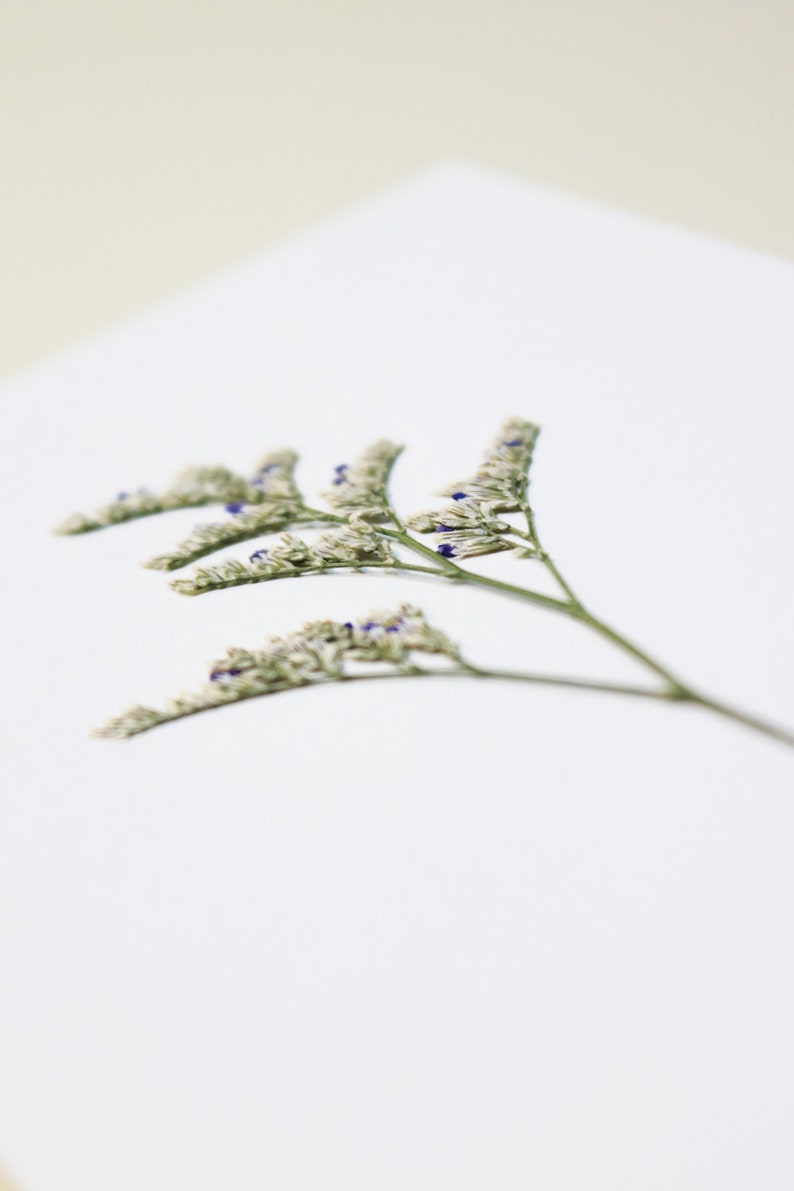 Carte avec fleurs séchéee, carte anniversaire, carte relief, carte vraie fleur, fleur pressée, carte de voeux, pressed flower art, folium, herbarium, herbier