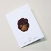 see more listings in the Flowery card section