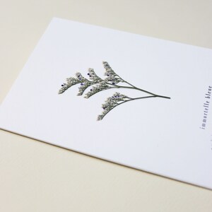 Carte avec fleurs séchéee, carte anniversaire, carte relief, carte vraie fleur, fleur pressée, carte de voeux, pressed flower art, folium, herbarium, herbier