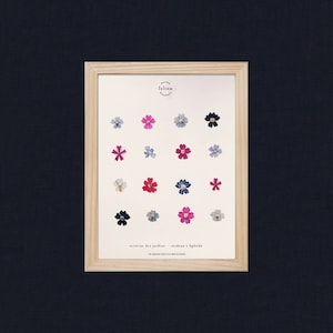 Herbarium of dried flowers · Garden verbena · n·032 · Dried flower frame,