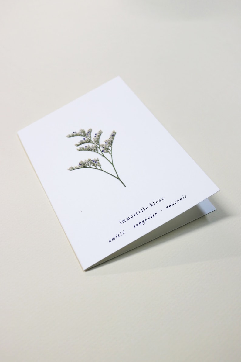 Carte avec fleurs séchéee, carte anniversaire, carte relief, carte vraie fleur, fleur pressée, carte de voeux, pressed flower art, folium, herbarium, herbier
