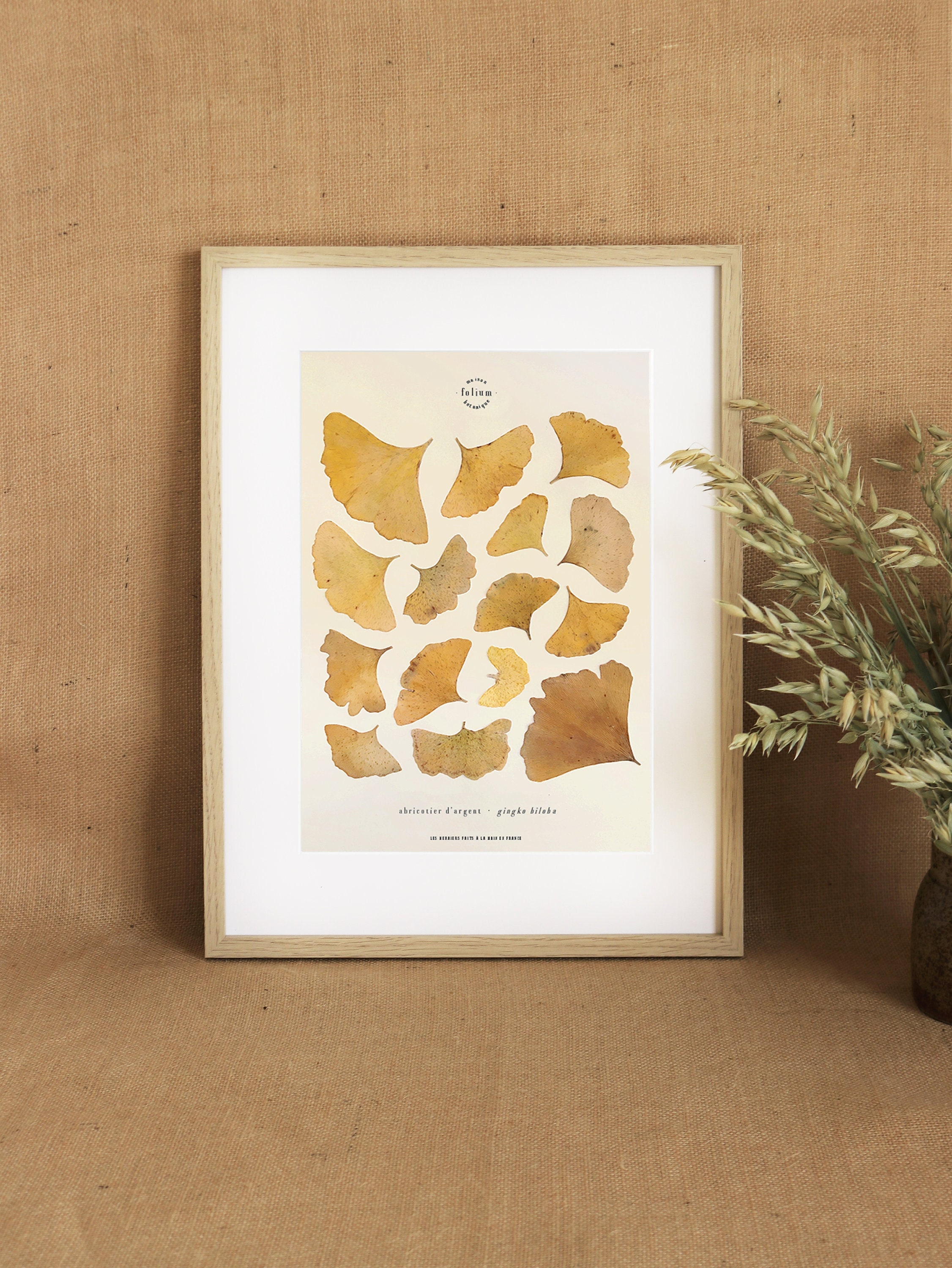 Herbier De Feuilles Séchées