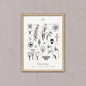 K&ouml;nnte beinhalten: Eine Schwarzwei&szlig;-Illustration verschiedener Blumen, darunter Narzissen, Tulpen und Veilchen. Die Illustration tr&auml;gt den Titel "Blumen des M&auml;rz" und enth&auml;lt die wissenschaftlichen Namen jeder Blume.