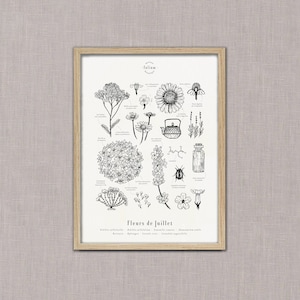 Cartel "Las flores de julio" · A3 ilustración de flores de temporada · Grabado botánico, Regalo personalizado julio, Regalo de nacimiento imagen 3