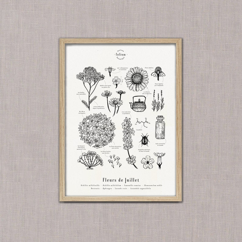 Cartel "Las flores de julio" · A3 ilustración de flores de temporada · Grabado botánico, Regalo personalizado julio, Regalo de nacimiento imagen 3