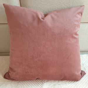 Blush Pink Pillow Covers, Pink Pillow Cases, Accent Pillows, Blush Pillow Covers, Easter Room Decor, Rose Design Pillowcase, Pastel Cushion