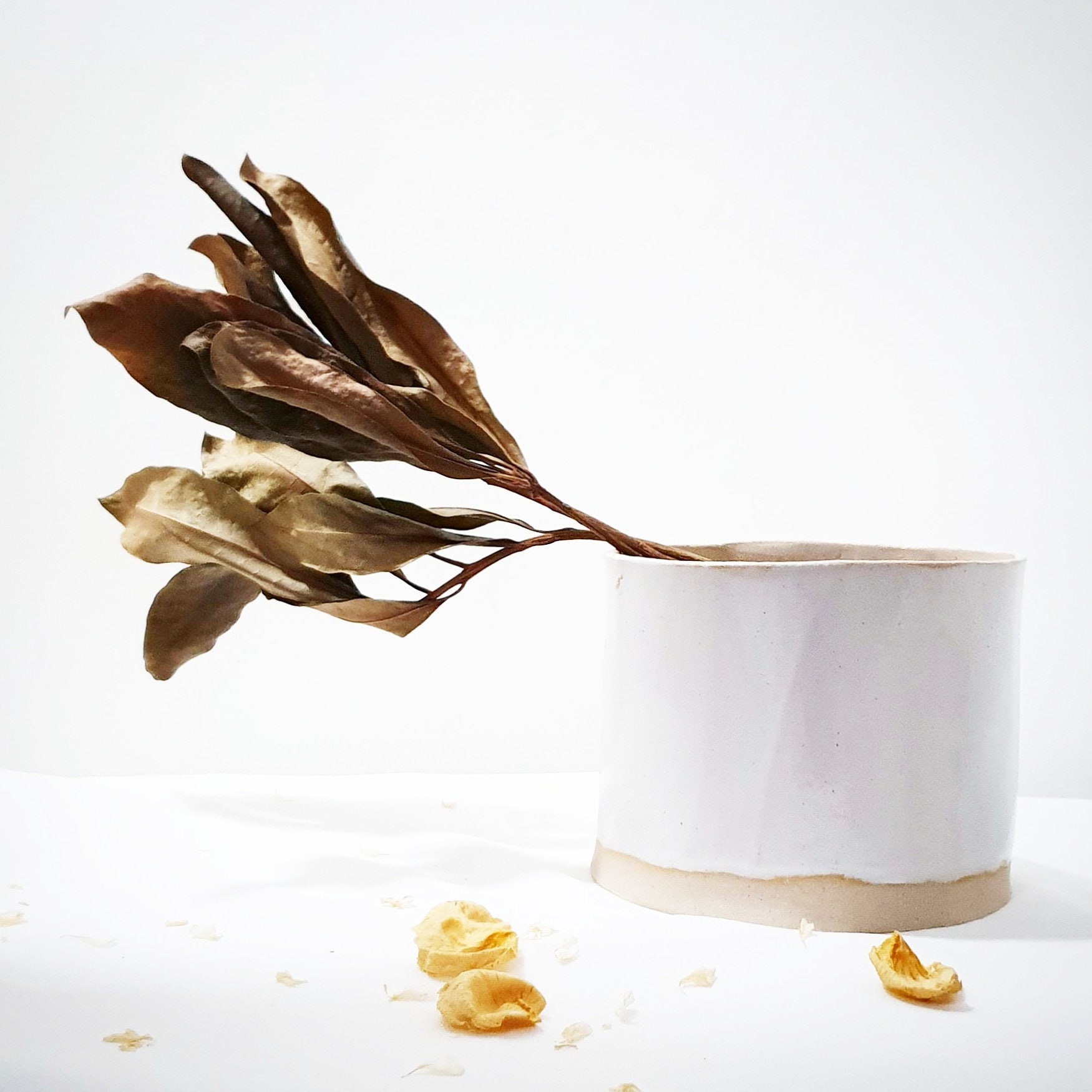 Pot de Plantes Parfait