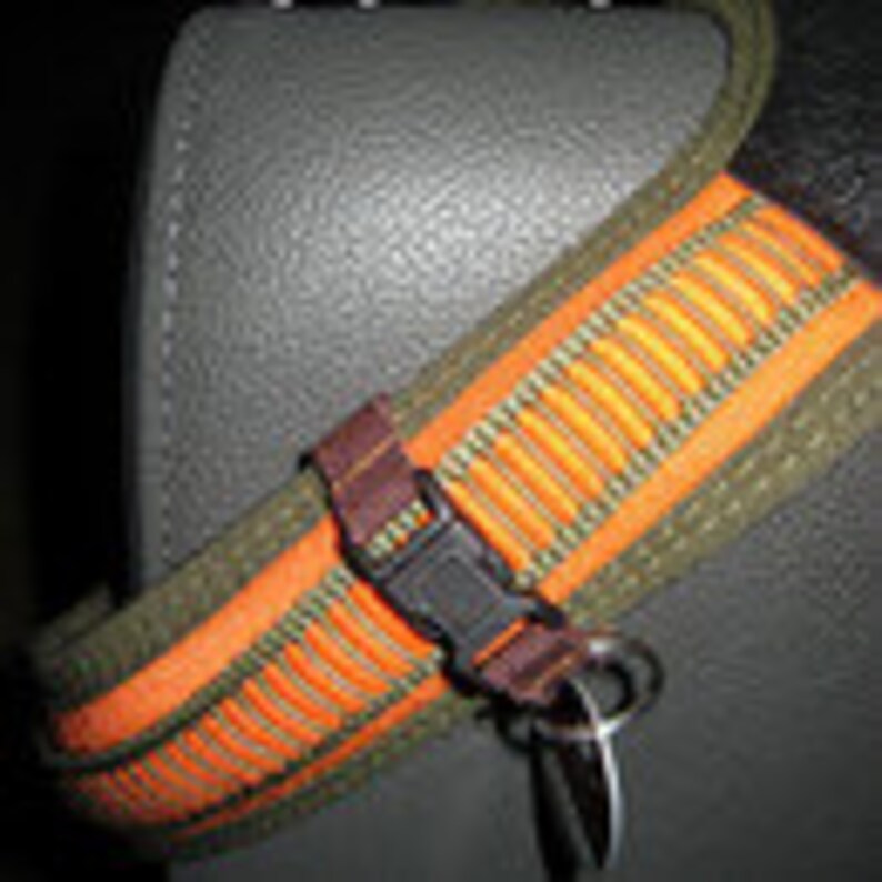 light blue quick changer for dog tags