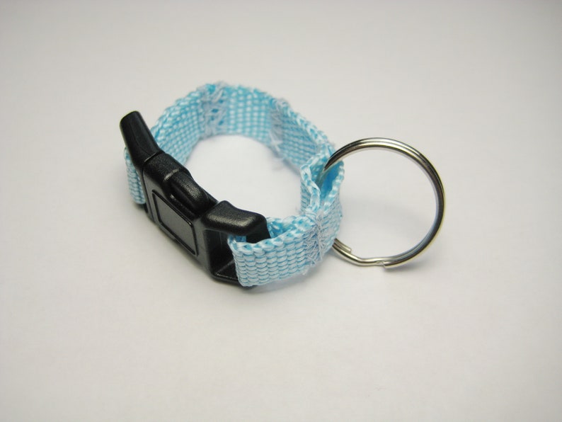 light blue quick changer for dog tags