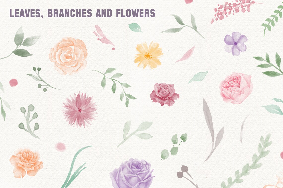 Procreate Stamps Botanical Watercolor Brushes Floral Leaves - Etsy