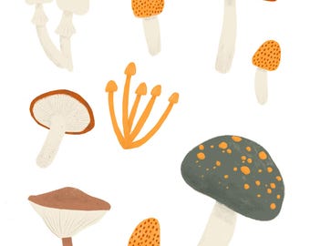 Enchanted Forest Mushroom Collection - Modern Nature Art Print
