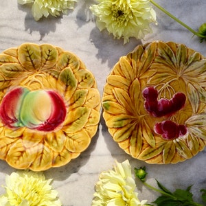 Set of 2 Vintage barbotine plates, Sarreguemines