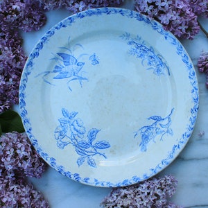 Vintage flat earthenware, iron earth