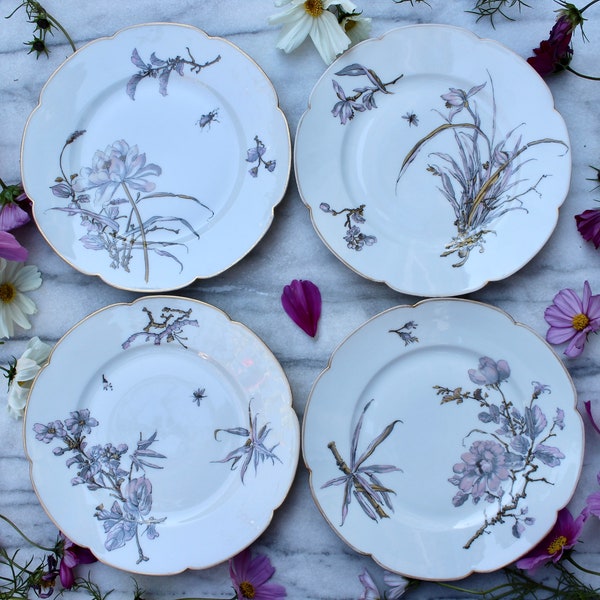 Set of 4 porcelain plates, V.tor Étienne rue Paradis