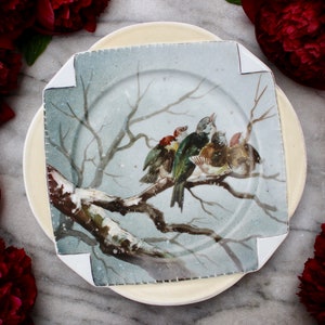 Vintage porcelain plate with birds, 1920
