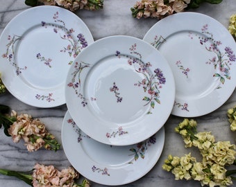 Set of 4 porcelain plates, Limoges