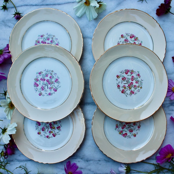 Set of 6 dessert plates, Moulin des Loups, Orchies