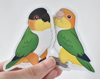 Caique Parrot Sticker: White-bellied & Black-headed, Matte Vinyl, Water Resistant