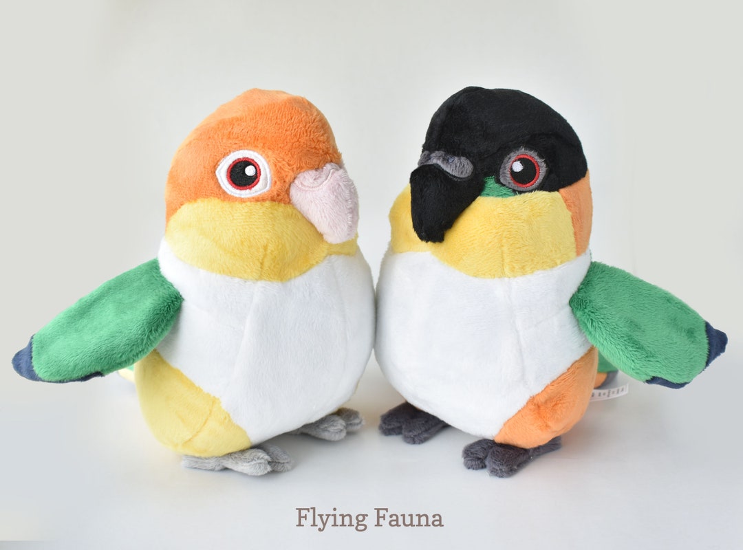 Caique Plush White Bellied Caique Black Headed Caique Bird Etsy