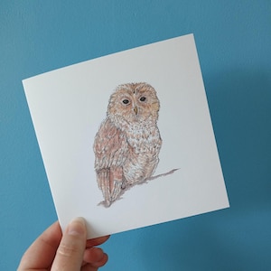 Hand Drawn Tawny Owl Birthday Card: Wildlife Art