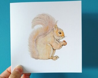 Squirrel Card, squirrels card, red squirrel, Happy birthday card, squirrel illustration, squirrel art, for him, for her, card, wildlife card