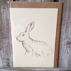 Hare Card, hares card, rabbit, Happy birthday card, hare illustration, hare art, for him, for her, wildlife, card, wildlife card, doodle keg