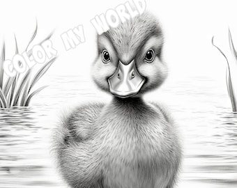 Eendje grijstinten kleurplaat