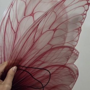 May include: A pair of translucent red butterfly wings with intricate vein detailing. The wings are held together with a black elastic cord, suggesting they are designed to be worn. The wings have a gradient effect, transitioning from a deeper red to a lighter hue.
