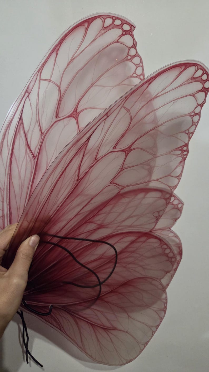 May include: A pair of translucent red butterfly wings with intricate vein detailing. The wings are held together with a black elastic cord, suggesting they are designed to be worn. The wings have a gradient effect, transitioning from a deeper red to a lighter hue.