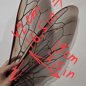 May include: A pair of large, decorative fairy wings. The wings are a light beige color with a detailed vein pattern and small black dots. Each wing measures approximately 16 inches wide and 17 inches long.