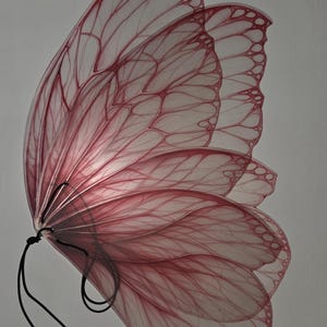 May include: A close-up of a butterfly wing, showcasing delicate, translucent layers. The wings are primarily a soft pink with darker pink veins, creating a detailed pattern. A black string is attached to the base of the wings.