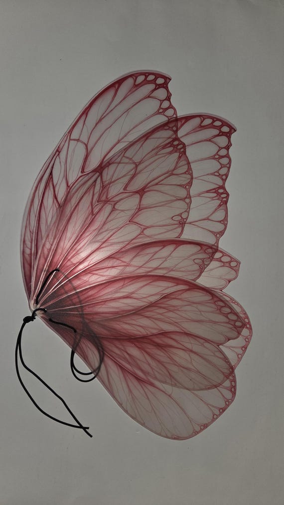 Big  Pink  fairy wings, high-quality printing of the drawing, girl gift, flower fairy.Photo Prop