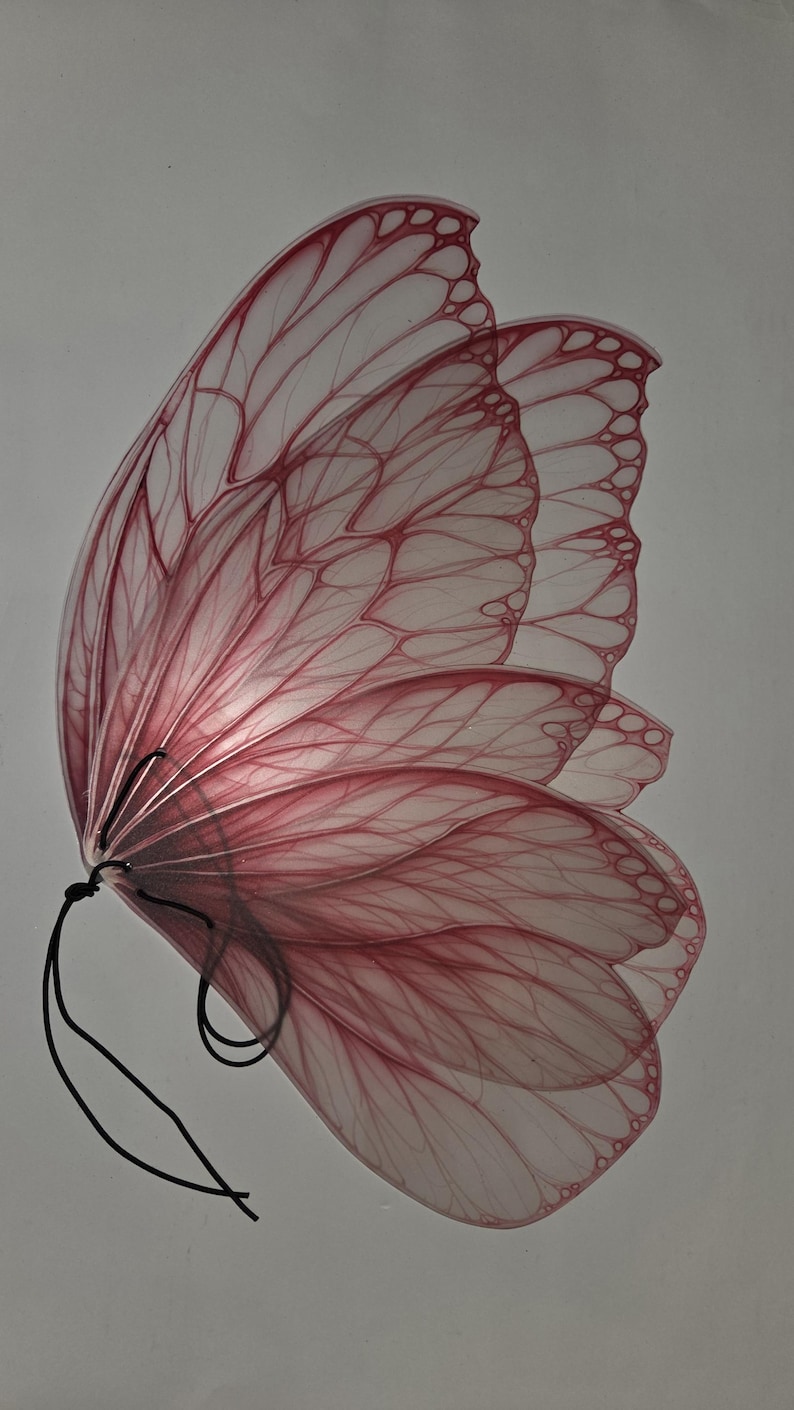 May include: A close-up of a butterfly wing, showcasing delicate, translucent layers. The wings are primarily a soft pink with darker pink veins, creating a detailed pattern. A black string is attached to the base of the wings.