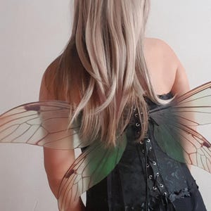 Puede incluir: Un corsé negro con detalles de cordones y alas de hadas adjuntas. Las alas son translúcidas con acentos verdes y marrones. El cabello de la persona es rubio y cae por la espalda.