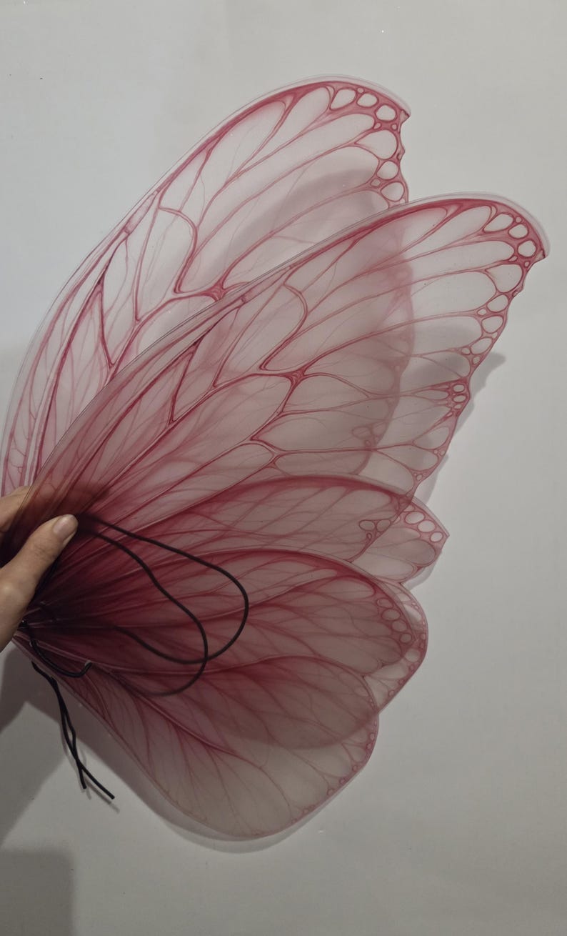 May include: A pair of translucent, pink fairy wings with intricate vein-like detailing. The wings are held together with a black cord, suggesting they are wearable. The design evokes a delicate, ethereal aesthetic, perfect for costume or cosplay.