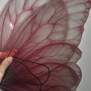 May include: A pair of translucent butterfly wings with a gradient of red hues. The wings feature intricate vein-like patterns and are held together with a black cord. The wings are designed for costume or decorative purposes.